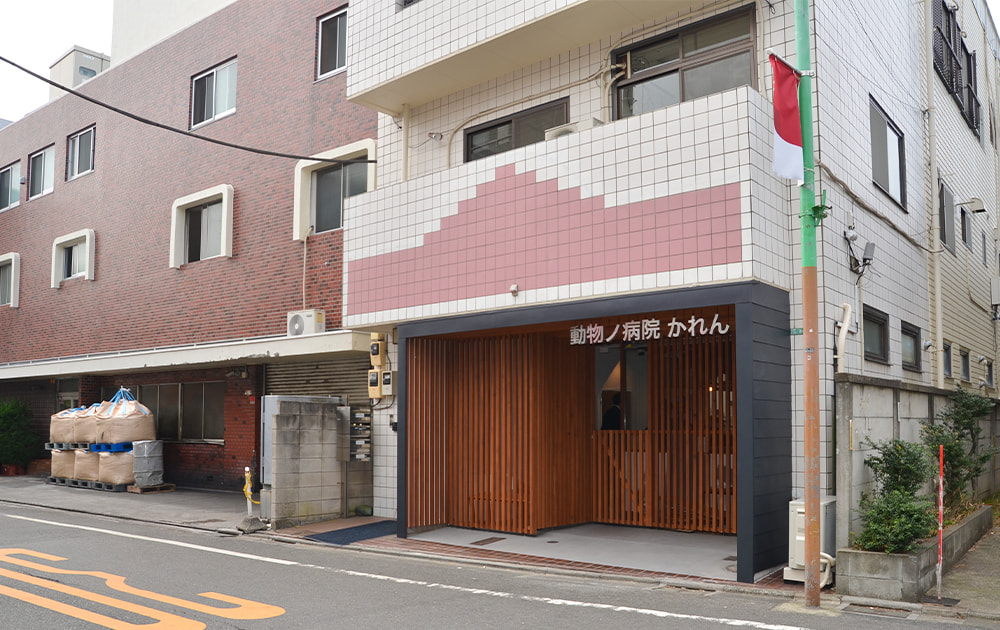 外観