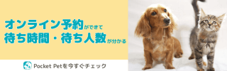 オンライン予約　Pocket Pet